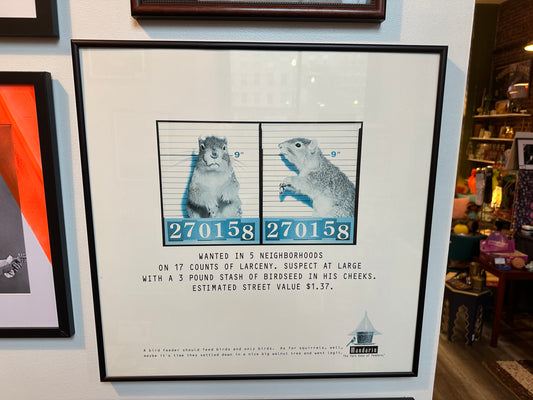 Squirrel Most Wanted Poster