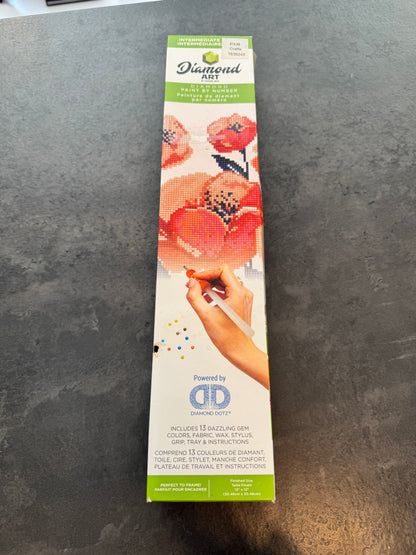 Diamond Art Intermediate Kit