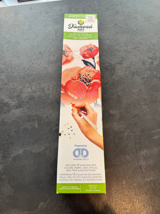 Diamond Art Intermediate Kit