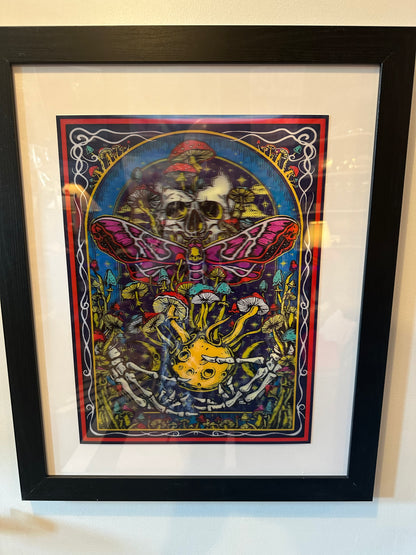 Framed 3D Lenticular Print