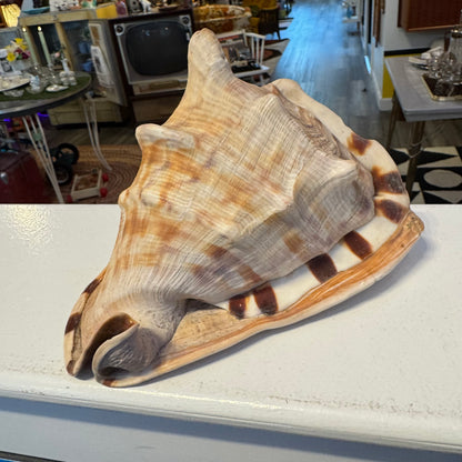 King Helmet Shell 8"