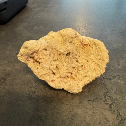 Coral Piece 4"
