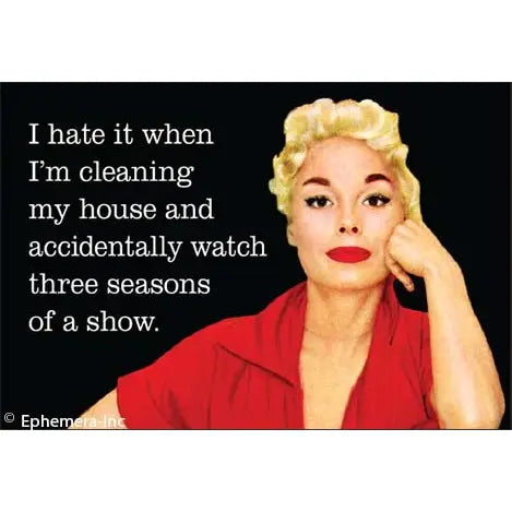 House Cleaning Magnet