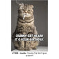 Cranky Cat Birthday Card