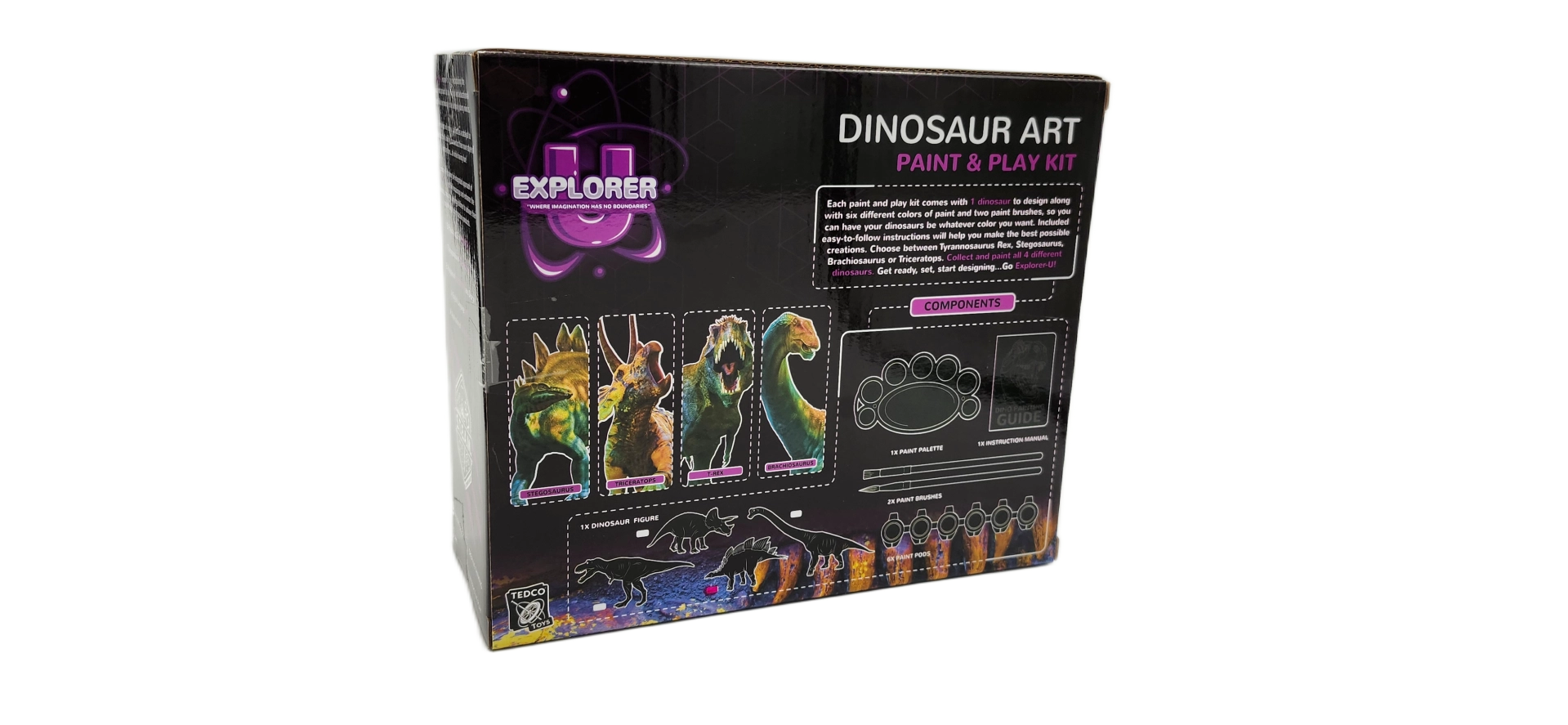 Dinosaur Paint and Play Kit