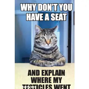 Testicles Magnet