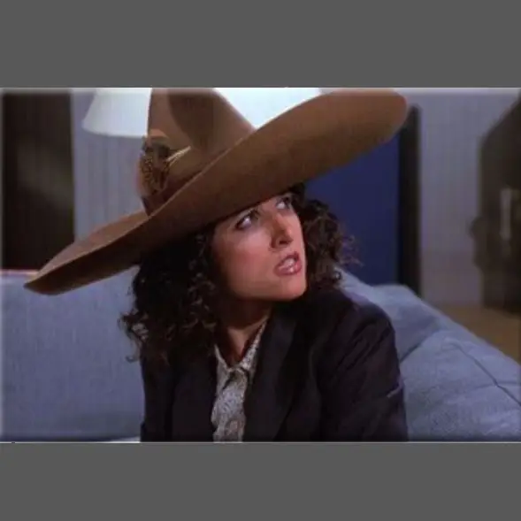 Elaine Seinfeld Magnet