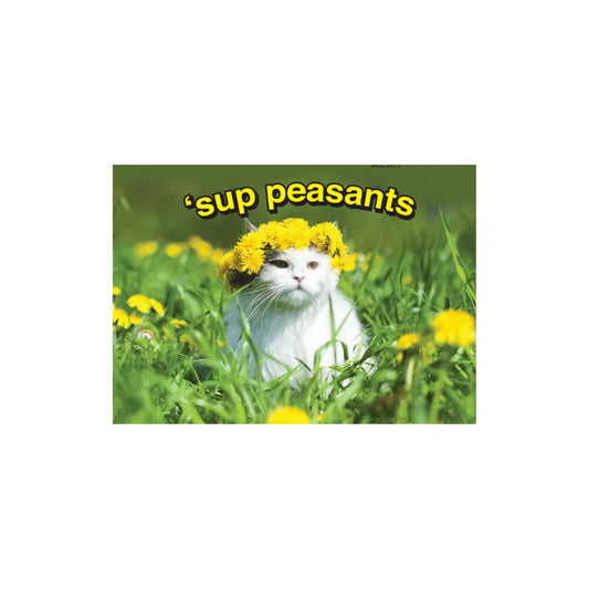 Sup Peasants Cat Magnet