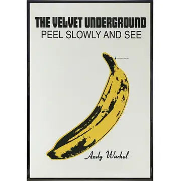 Framed Velvet Underground Poster Print